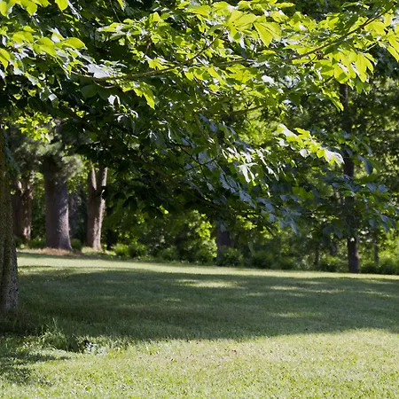 酒店 Backbyn Kartano