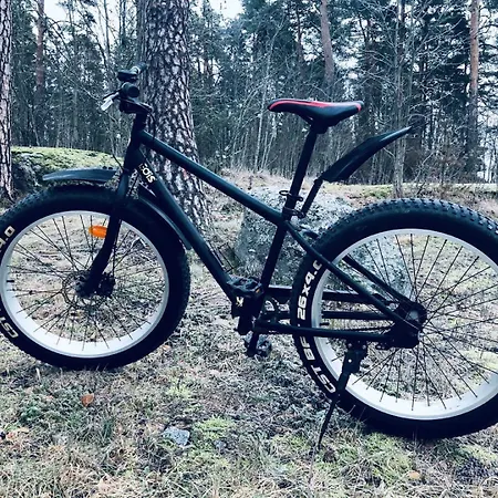 Hotelli Backbyn Kartano 3*