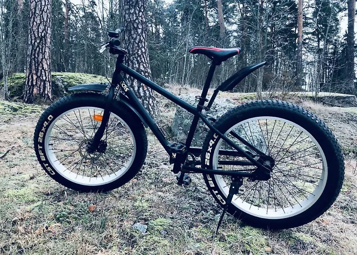 Hotel Backbyn Kartano 3*